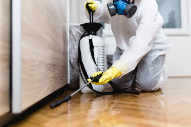 Best Affordable Pest Control Services  in Lake Nacimiento, CA