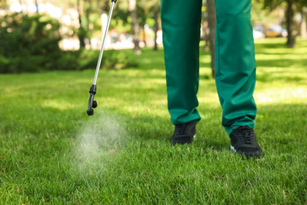 Best Pest Control for Restaurants  in Lake Nacimiento, CA