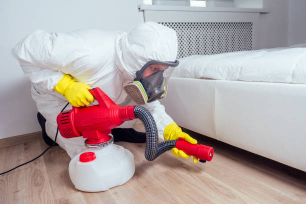 Best Best Pest Control Companies  in Lake Nacimiento, CA
