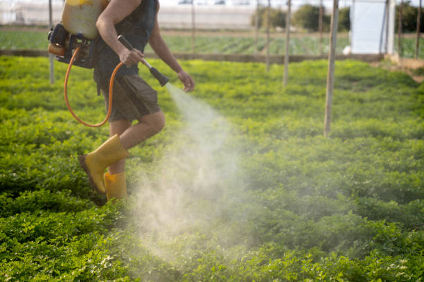 Best Mosquito Control Services  in Lake Nacimiento, CA