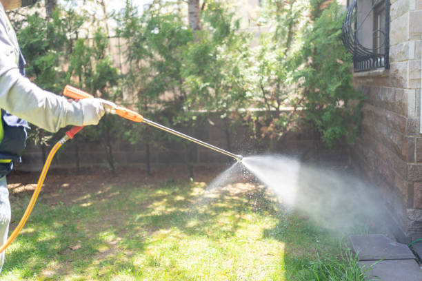 Best Ant Control Services  in Lake Nacimiento, CA