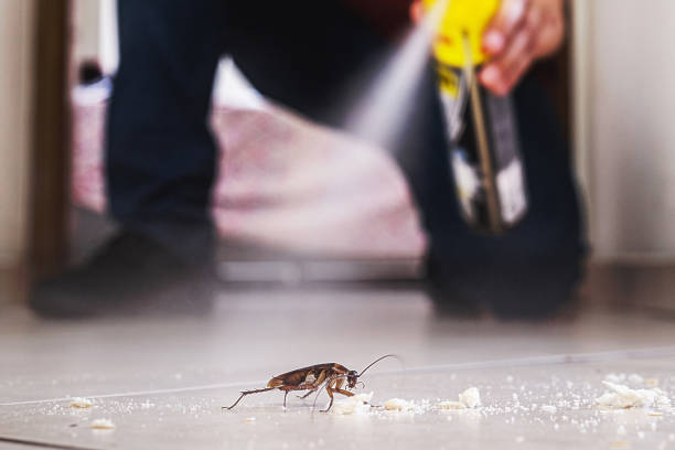 Best Exterminator Services  in Lake Nacimiento, CA