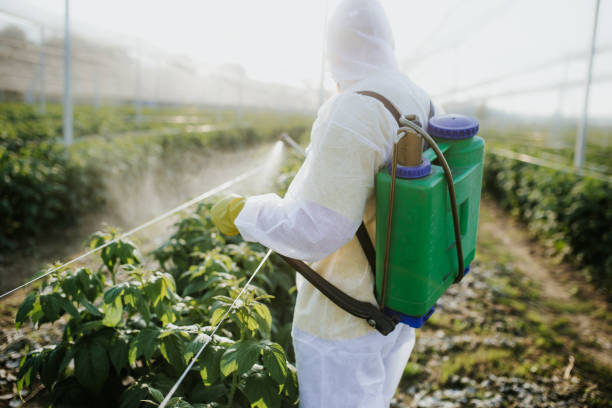 Best Pest Control Cost  in Lake Nacimiento, CA